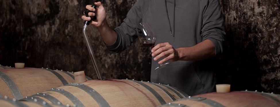 Die Gärverfahren beim Wein – kompakt erklärt — Wein.de