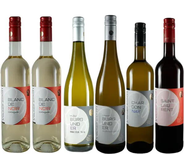 Probierpaket Burgunderweine 6 Fl.