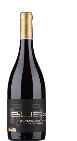 2020 Spätburgunder trocken "In den Acht Morgen"