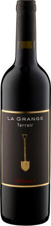 2023 Terroir Cinsault - Bio