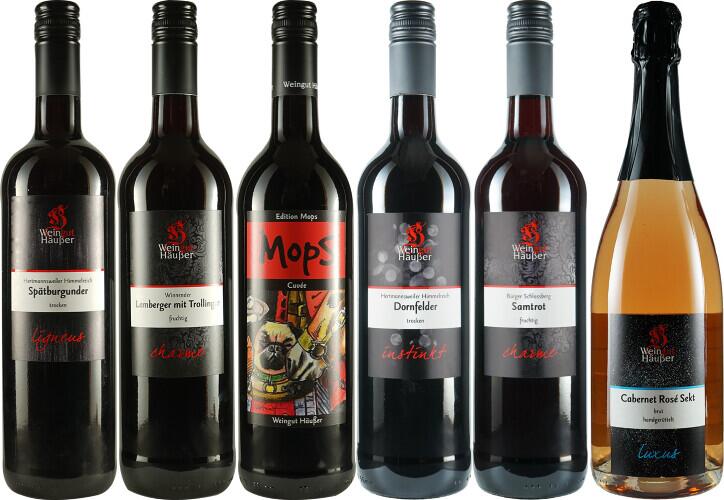 (W)Einsteiger Rot - Weinpaket