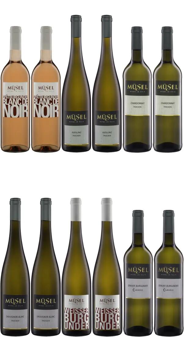 Entdeckerpaket Müsel groß
