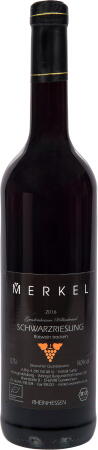 2025 Schwarzriesling "Gundersheimer Höllenbrand"