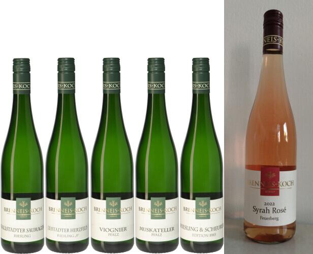 Probierpaket 2022er Jahrgang