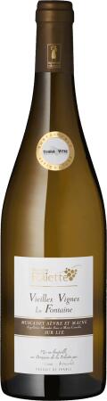 2024 Muscadet Sèvre et Maine sur lie