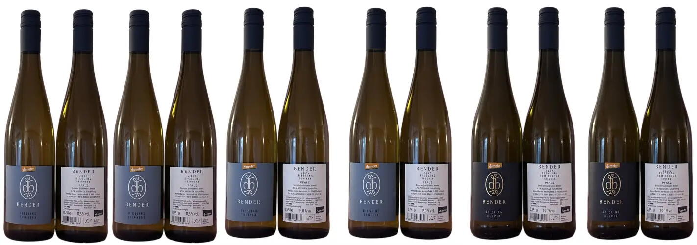 Riesling 2025 (6er)