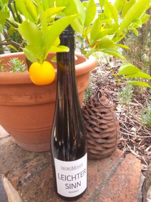 2019 "Leichter Sinn" Rivaner