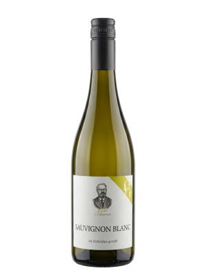 2020 ´Eichenholzfass` Sauvignon Blanc