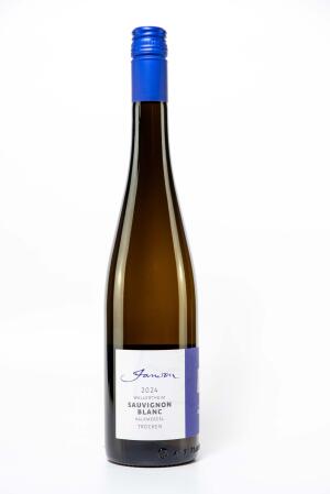 2024 Sauvignon blanc vom Kalkmergel Wallertheim Ortswein