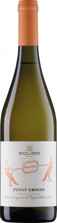 2024 Colli del Soligo Pinot Grigio