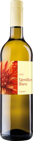 2025 Sémillon Blanc trocken