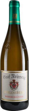 2024 Schlossberg Weissburgunder GG