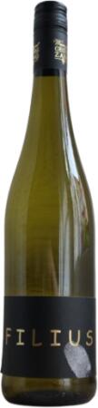 2025 "Filius" Müller Thurgau trocken