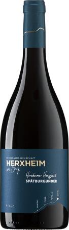 2023 Spätburgunder Rotwein trocken Herxheimer Honigsack