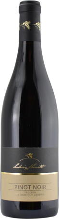 2019 Pinot Noir trocken