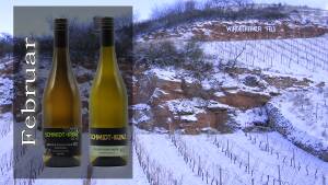 2021 Wein des Monats Februar - Weißer Burgunder 63