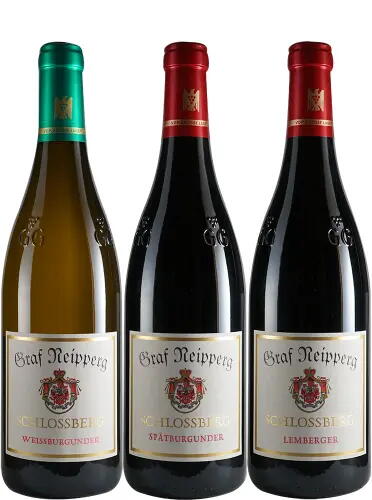 SCHLOSSBERG – GG – Paket // neue Jahrgänge