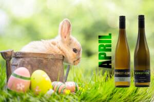 2020 Wein des Monats April - Riesling "unverbesserlich"