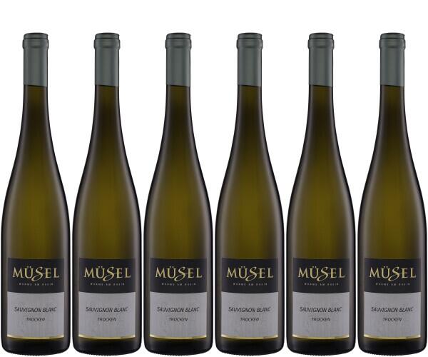 6er Sauvignon Blanc Paket