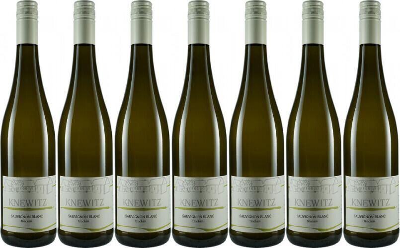 Sauvignon Blanc Paket 6 +1